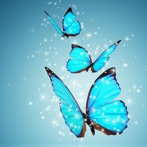 Meet your Posher, Alexia